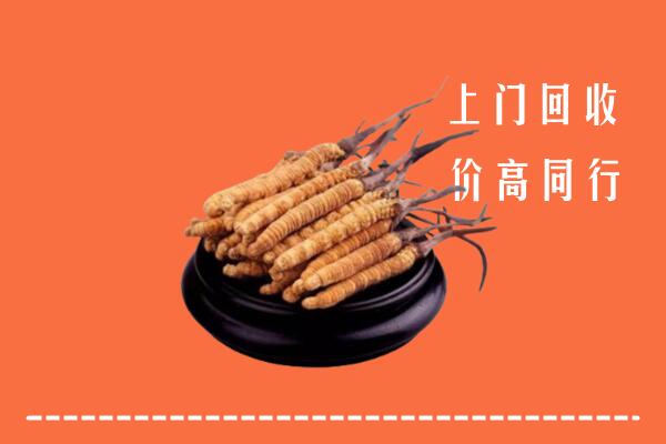 巴马县回收散虫草