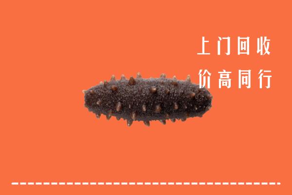 巴马县回收海参