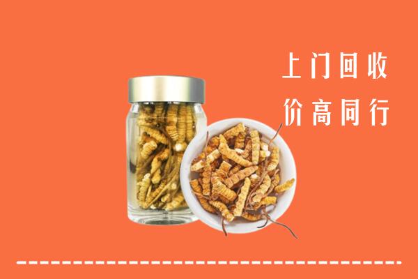 巴马县回收冬虫夏草